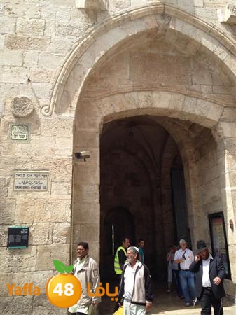 rashidiyasy 0531 (37).jpg